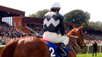 Newmarket Racecourses